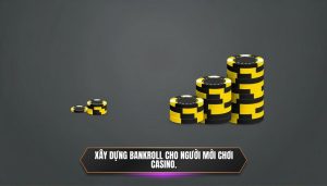 Xây dựng bankroll cho người mới chơi casino.
